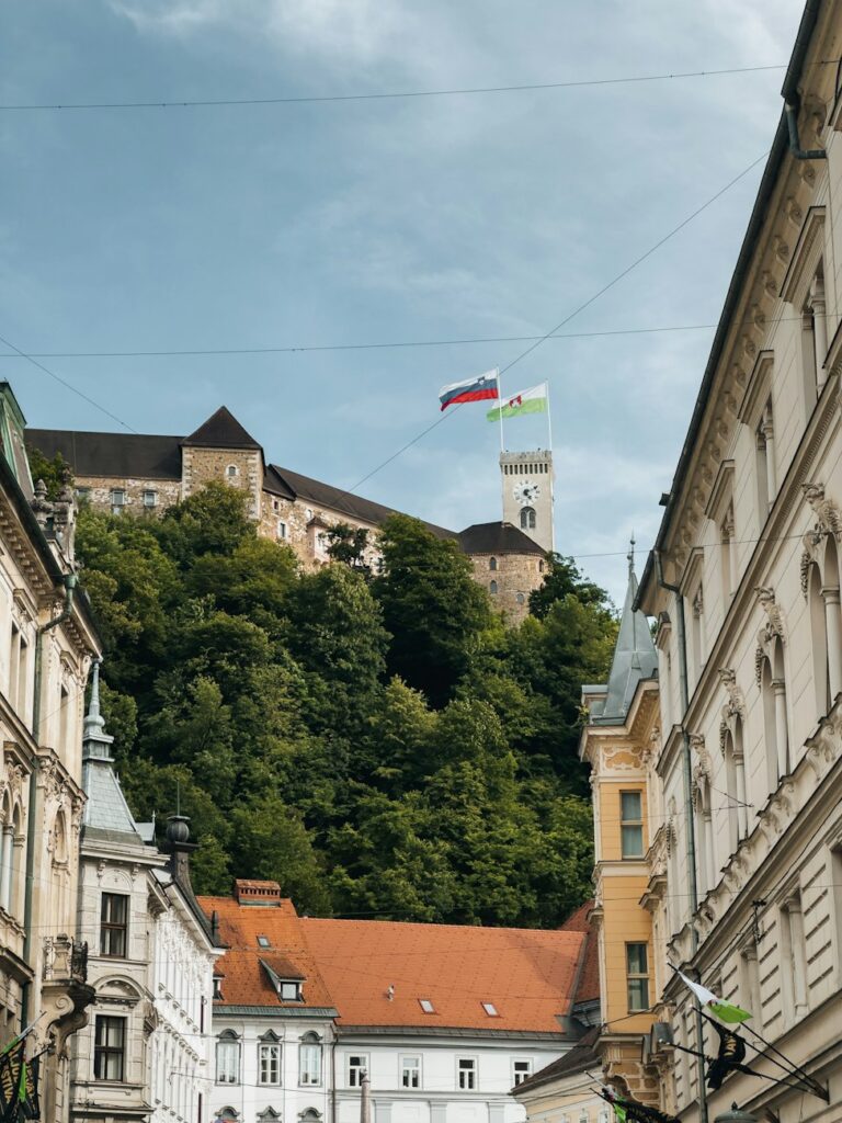 Ljubljana Borg