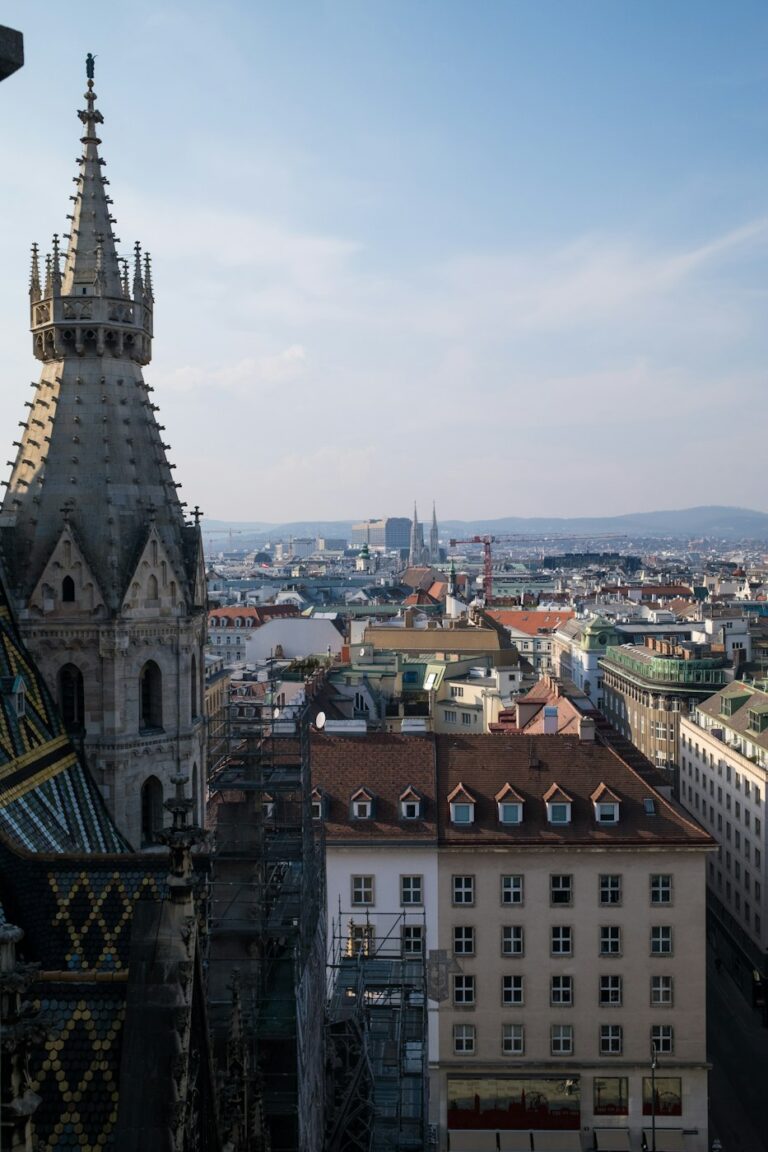 Wiens tage med Stephansdom